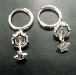 Great quality China supplier wholeale coaster cz ring holding a star lever back earring